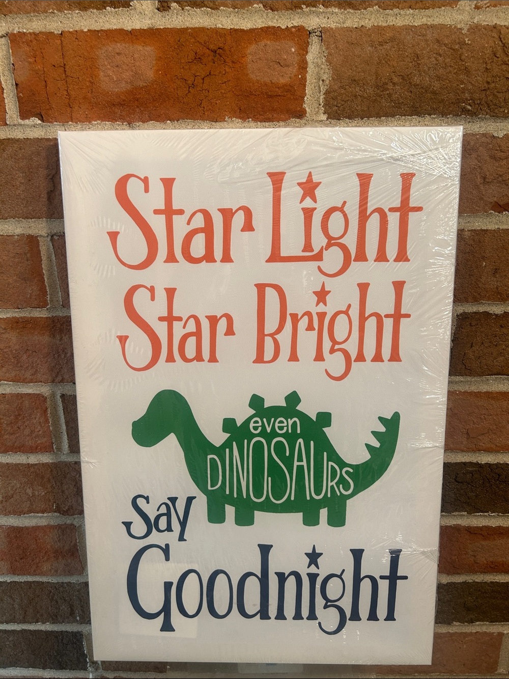 Star Light Star Bright Dinosaur Wall Canvas - Coral Green Navy